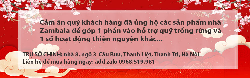 https://zambala.vn/
